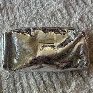 bareMinerals Shimmering Silver Cosmetic Case